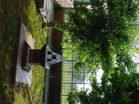 xsc00013.jpg
